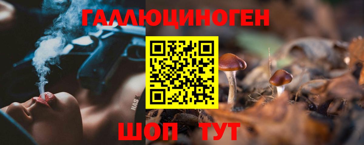 Псилоцибиновые грибы MAGIC MUSHROOMS Сыктывкар